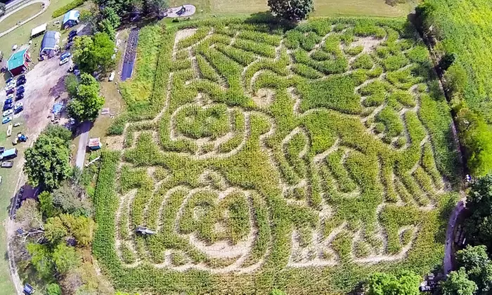Corn-Maze Admission for 2, 4, or 6 at The Wright Family Farm (Up to 50% Off) - Primary Image