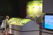 General Admission for 1, 2, 4, or 6 at Houston Museum of Natural Science at Sugar Land (Up to 23% Off)   - Second Medium