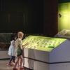 Image 5: Up to 31% Off Houston Museum of Natural Science at Sugar Land