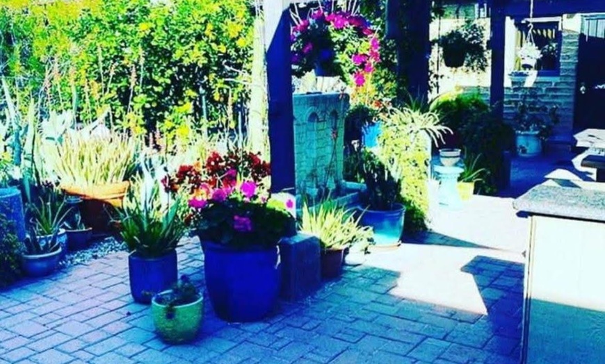 Image 6: Revitalize: One or Three Sessions Gua Sha & Cupping Red Light Therapy