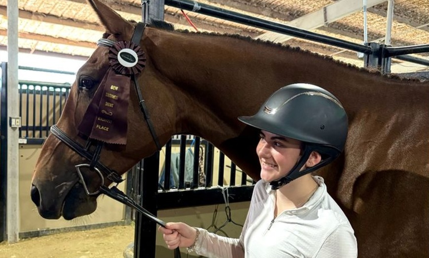 Image 5: Up to 25% Off on Horse Back Riding at Imperial Sporthorses