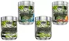 MT Creactor All Flavors (2-Pack) with Free Amino Build Sample