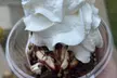Ice Cream Lovers, Enjoy Goofee G's Two Groovy Ices, $10 or $20 of Delicious Food and Drink (Up to 50% Off) - Second Medium