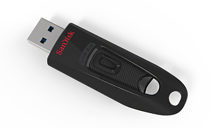 Image 5: SanDisk USB Sticks