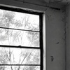 Image 2: Haunted Walking Tour Louisville – Explore Historic Ghosts