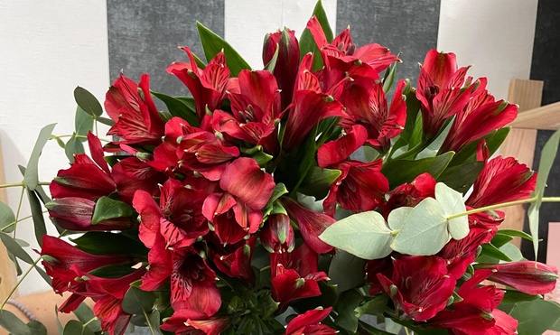 Ramo de Flores Luwanda