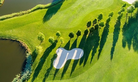 One Private Golf Lesson - Stevens Golf Academy - Santa Ana, CA
