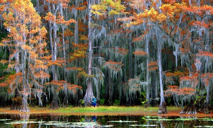 1.5 Hour Scenic Boat Tour of Caddo Lake - Caddo Lake Cypress Touring Co
