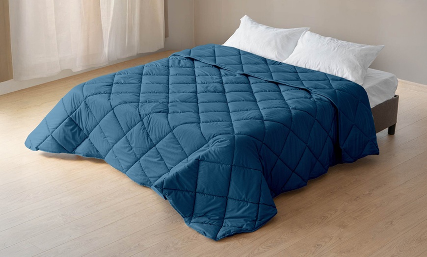 Image 17: Trapunta invernale matrimoniale in velluto