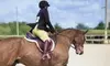 Enjoy 1,2, or 4 Private Horseback Riding Lessons for One Person at Cobb Creek Riding Academy - Up to 38% Off