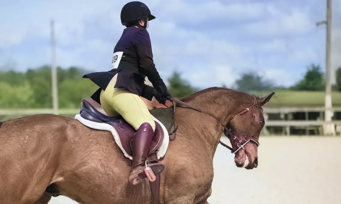 Enjoy 1,2, or 4 Private Horseback Riding Lessons for One Person at Cobb Creek Riding Academy - Up to 38% Off - Primary Image