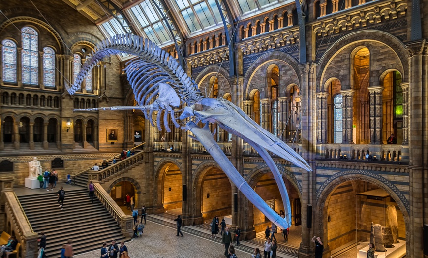 Image 8: Explore the Natural History Museum - Adult & Child Tours!