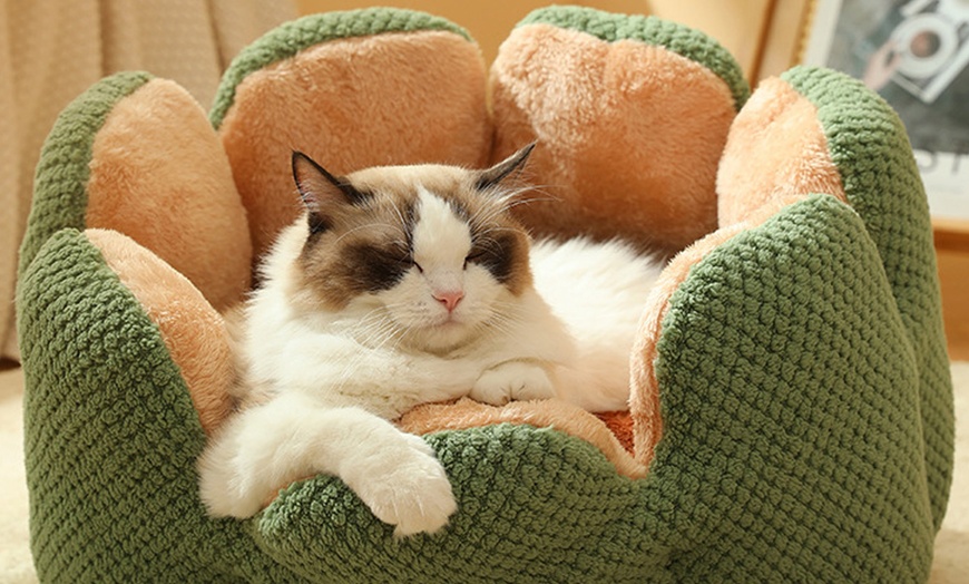 Image 9: Pet Nesting Sleeping Bed - PETBED-WHT, PETBED-GRN, or PETBED-FROG