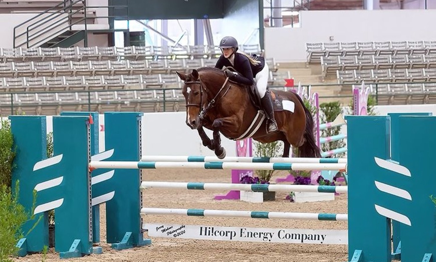 Image 1: Up to 25% Off on Horse Back Riding at Imperial Sporthorses