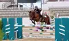 Private 60-Minute Horseback Riding Lessons at Imperial SportHorses (Up to 49% Off)