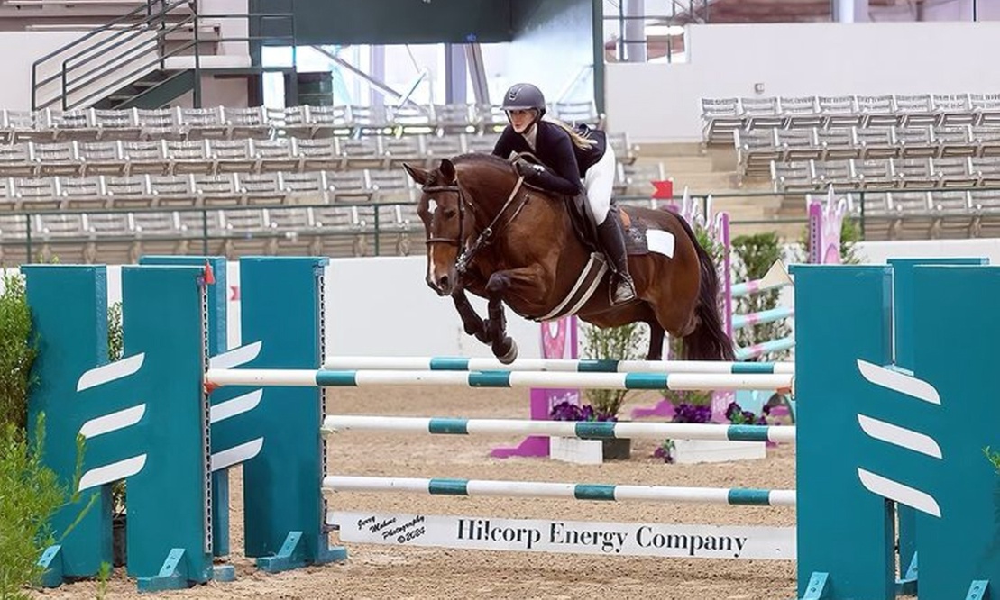 Up to 33% Off on Horse Back Riding at Imperial Sporthorses