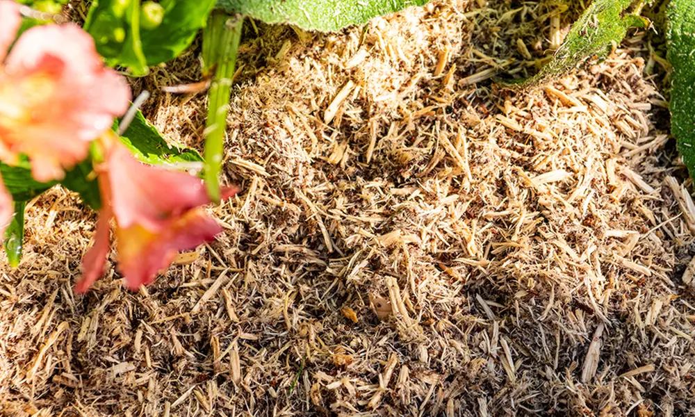 INCREDi Mulch Plus Wood Fibre Mulch with Slow-Release Feed 10L or 50L