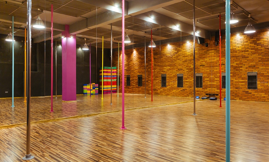 Image 4: Pole dance/fitness: Sky Pole Studio