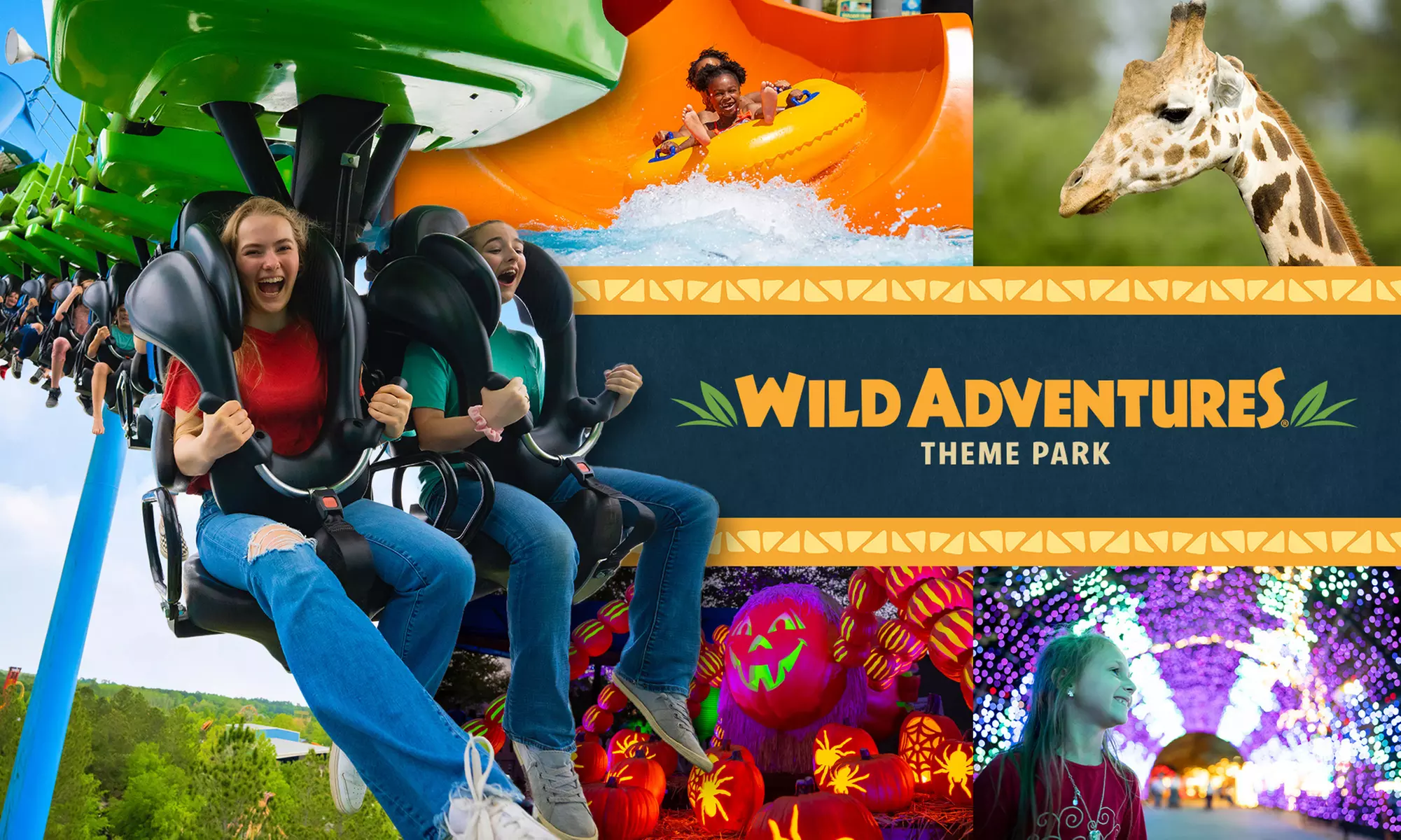 Wild Adventures Theme Park: Single Day Admission, Silver or Gold Pass