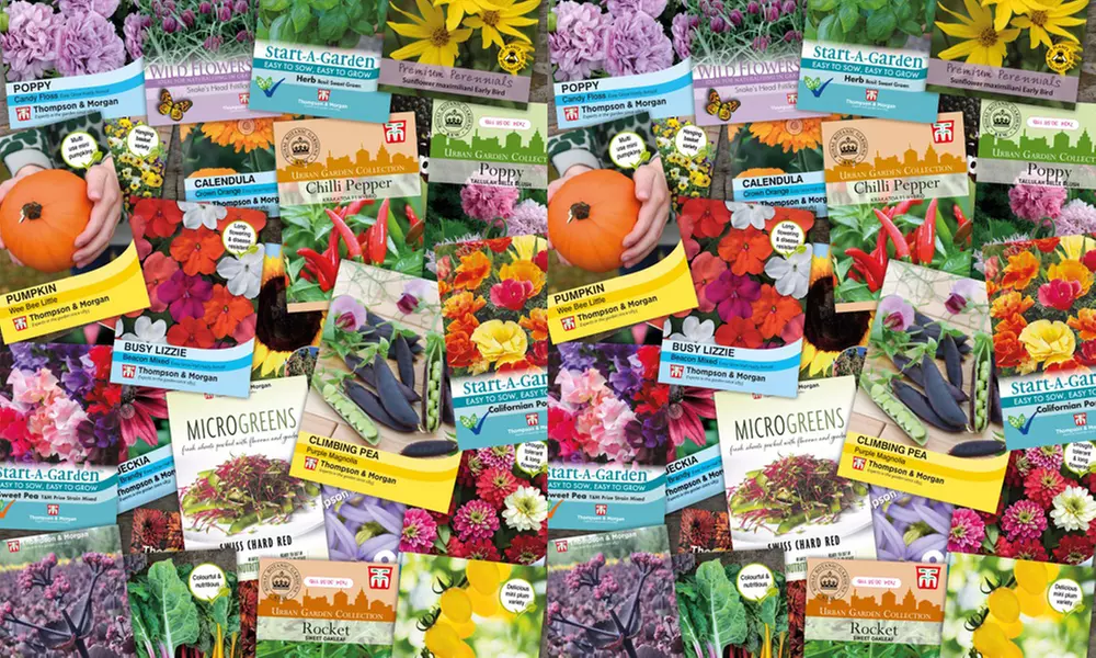 Mixed Flower and Vegetable Lucky Dip Seed Bumper Bundle - 50 or 100 Packs - Primary Image