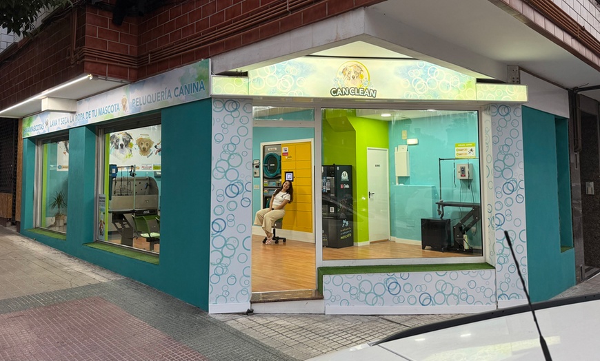 Image 9: Sesión de peluquería canina para perros hasta 6, 15 o 30 kg 