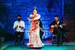 Entrada para adulto, niñ@ o senior para el espectáculo Baraka Flamenco Show, ahorra hasta un 32% - Second Medium