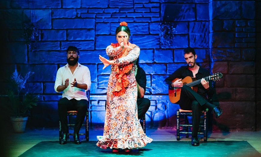 Image 1: 1 o 2 entradas para adulto, niño o senior a tablao flamenco con bebida