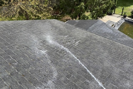 Roof moss removal with chemical treatment - Shinex Home Solutions