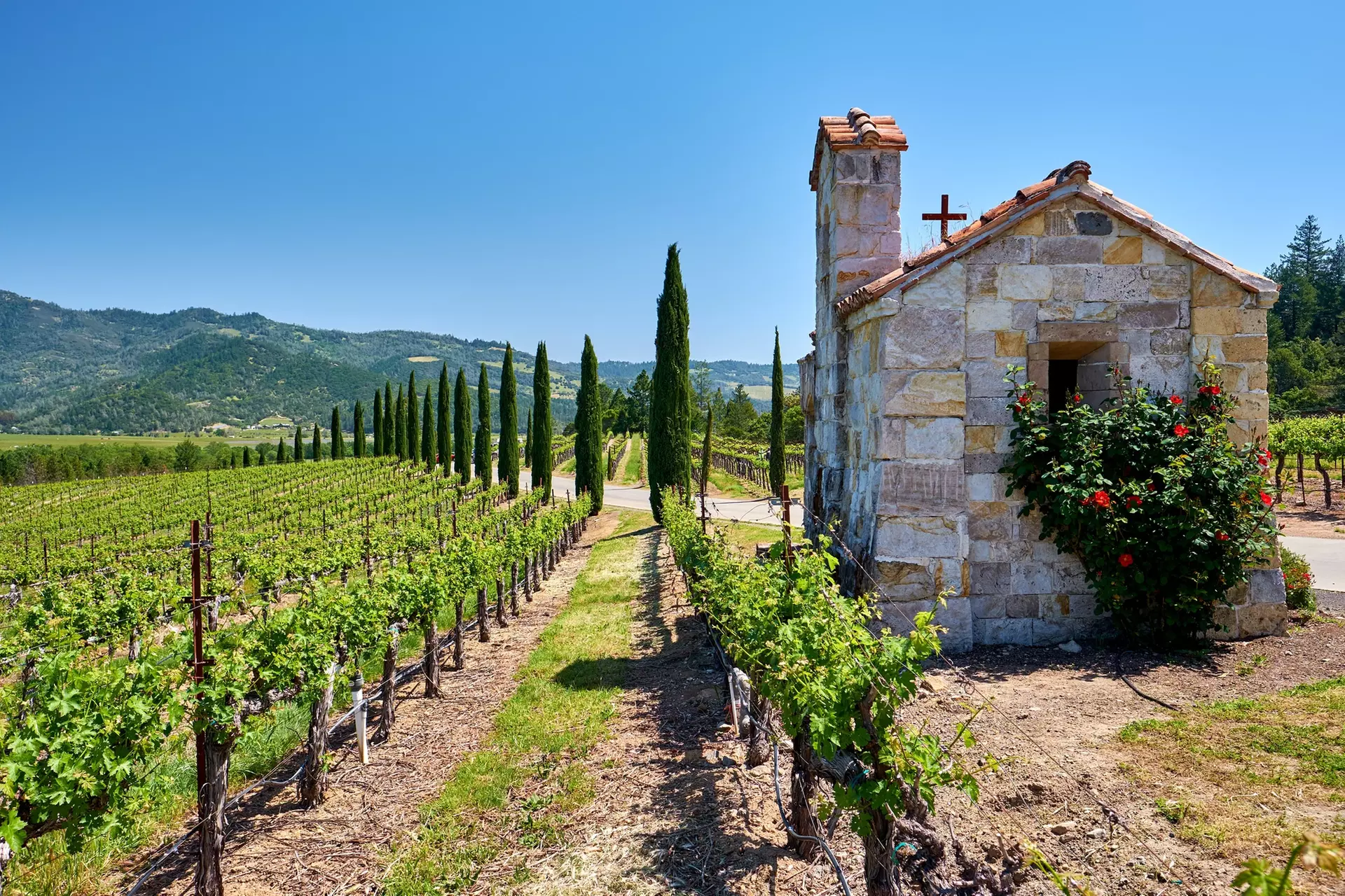 ✈ San Francisco & Napa Valley-4 Days w/ Air, Car & Hotel from Worldee