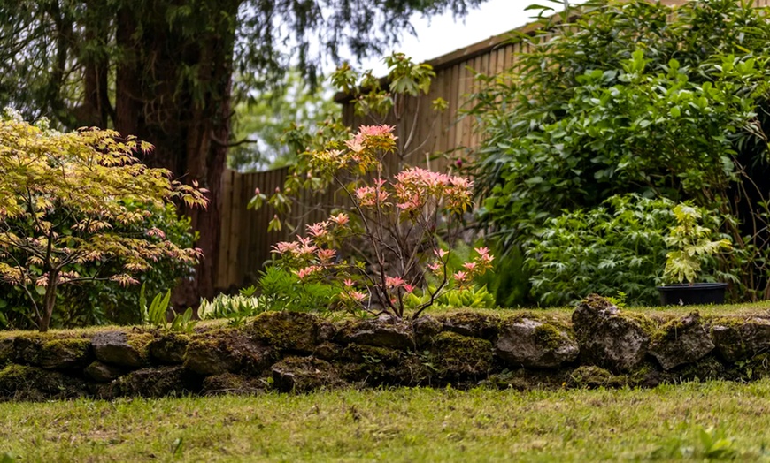 Image 11: Cumbria: Superior/ Deluxe Garden Room with Breakfast