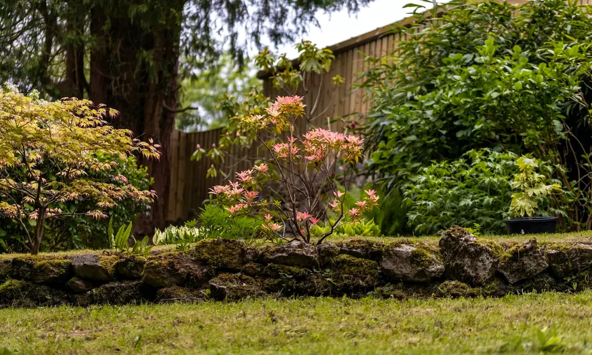 Cumbria: Superior/ Deluxe Garden Room with Breakfast