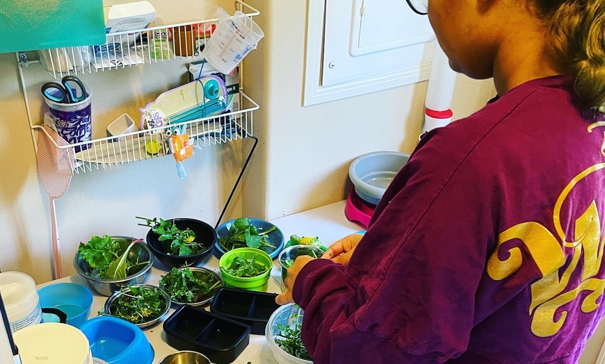 Image 2: Zookeeper for a Day Experience – Sunset Wildlife Connection Florida