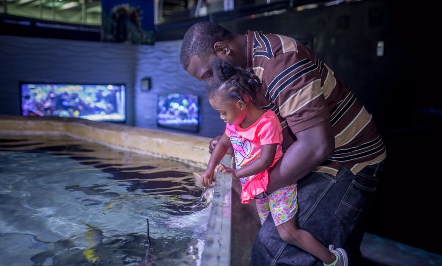 Image 5: GetOut San Antonio with Admission to 30+ Iconic Attractions  