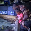 Image 5: GetOut San Antonio with Admission to 30+ Iconic Attractions  
