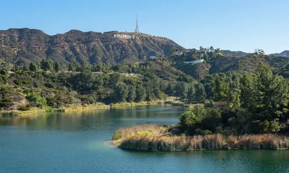 Private LA Tours: Hollywood Hills, City, or Temples