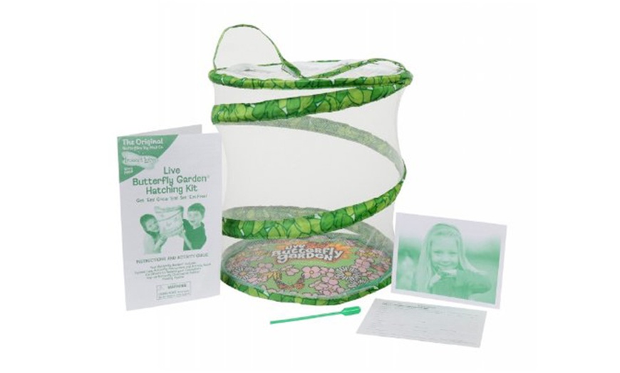 Image 3: Butterfly Garden Hatching Kit