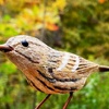 Image 4: Enjoy Nature and Art:  Admission for 2, 3, or 4 Adults