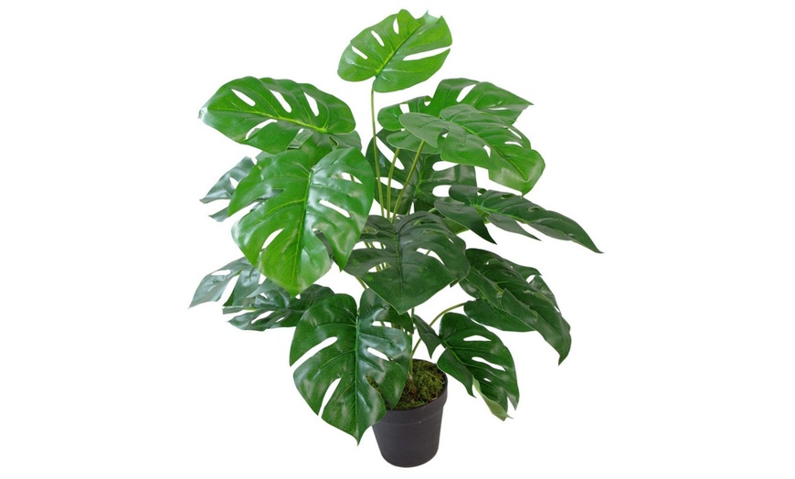 Image 3: Choice of Leaf Artificial Monstera Cheese Plant