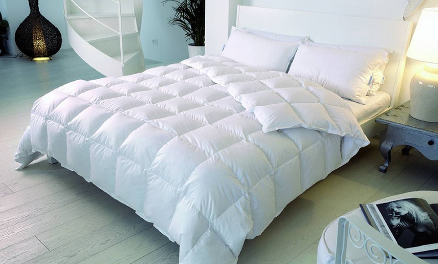 Image 1: Couette écologique d’hiver