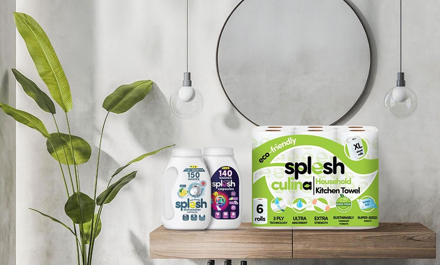 Image 1: Splesh Cleaning essentials 