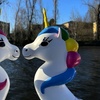 Image 3: Magical Unicorn Pedal Boat Rides for Child, Adult, or Family Ticket