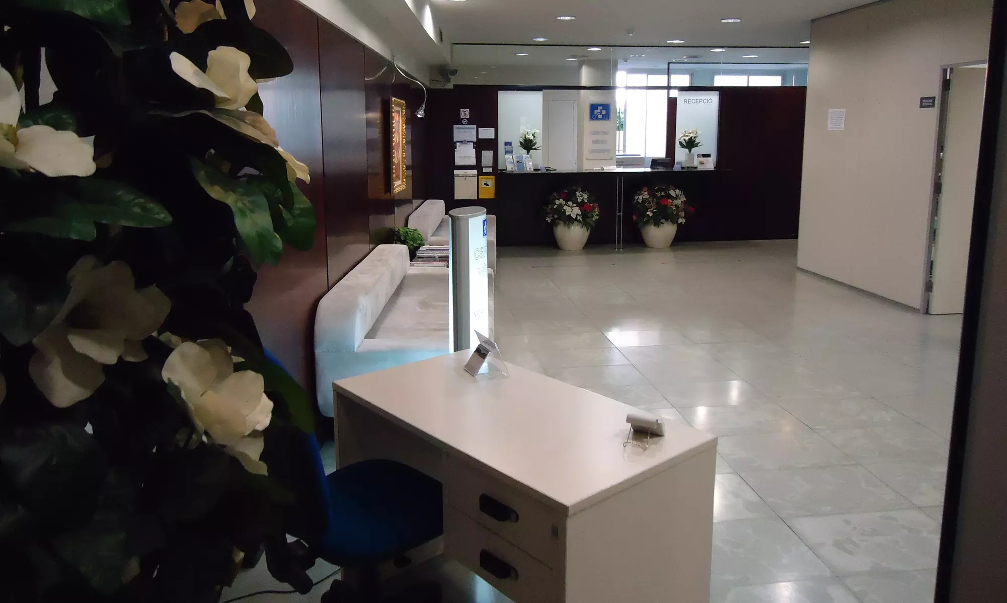 Certificado médico psicotécnico