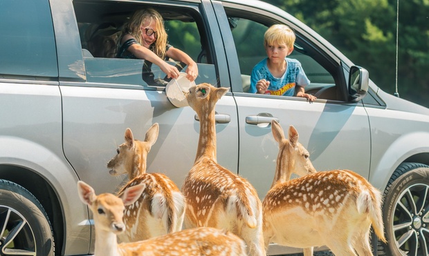 What to expect media