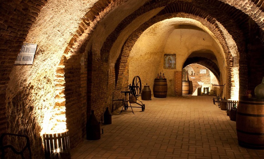 Image 3: Visita guiada a bodega para 2 o 4 con cata de 3 vinos y aperitivo