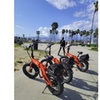 Image 5: Electric Bike Tours of Iconic LA Neighborhoods