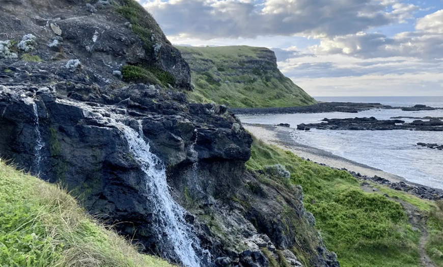 Image 8: Scenic Clifftop, Bay or Rainforest Picnic Hikes with Gourmet Lunch 