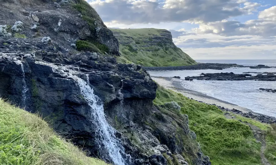 Scenic Clifftop, Bay or Rainforest Picnic Hikes with Gourmet Lunch