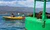 Sea Lion and Wharf Kayak Tour for a Child Or One, Two, or Four Adults at Paddle Sports Center(Up to 30% Off)