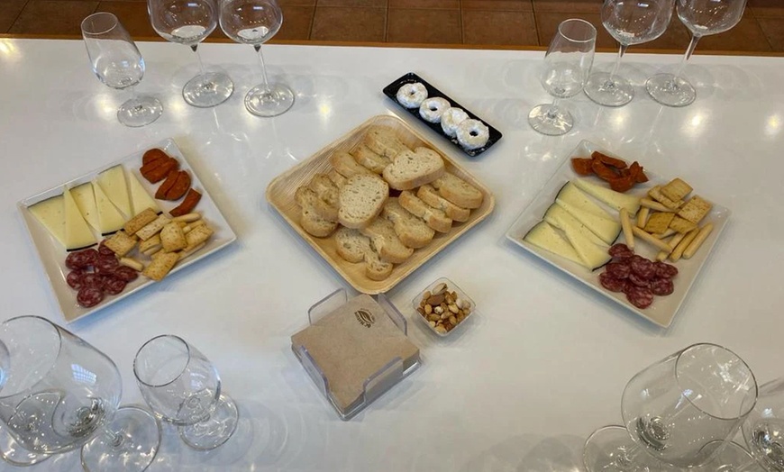 Image 2: Visita a Bodegas Las Virtudes con cata para 2 o 4 personas