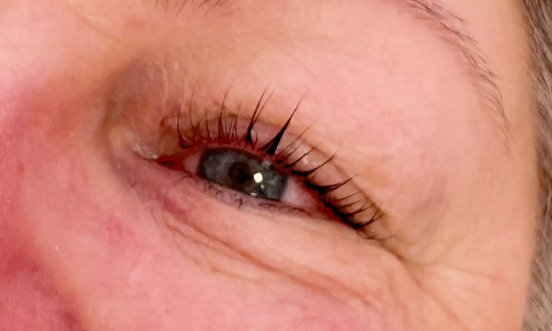 Rehaussement de cils avec ou sans teinture au Studio by Ana (jusqu'à 33% de remise) - Second Medium